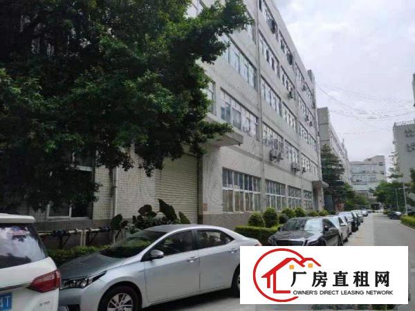  可做污染大岭山镇出租二楼800平带现成办公室租11块无杂费