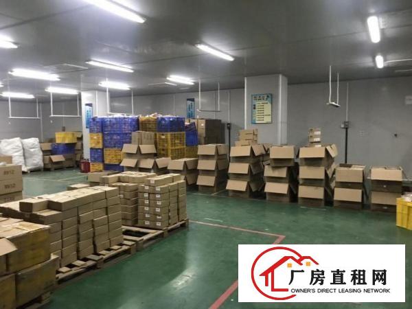  大岭山新空出1000平方楼上精装修厂房出租仓库出租