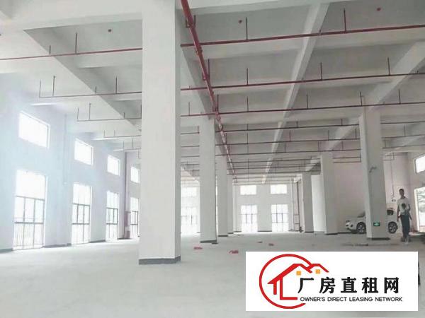  全新独院1000平9米原房东环评厂房（可做污染，可整可分）