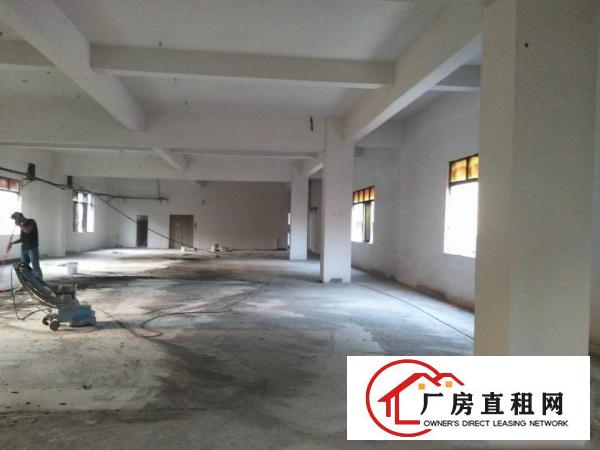  全新独院1000平9米原房东环评厂房（可做污染，可整可分）