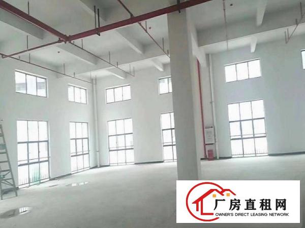  全新独院1000平9米原房东环评厂房（可做污染，可整可分）