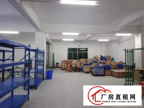  新出500平无公摊分租独栋独院带装修标准厂房