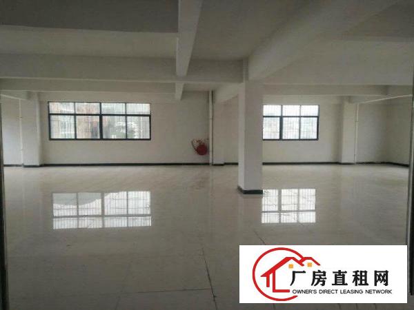  新出500平无公摊分租独栋独院带装修标准厂房