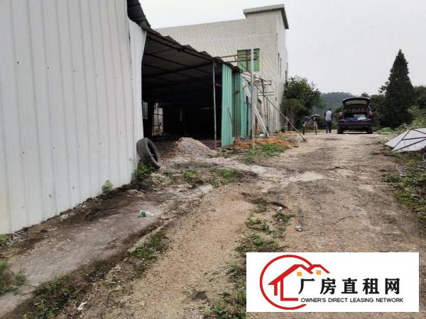  大岭山厚大路附近新出原房东独门独院400平钢构厂房出租