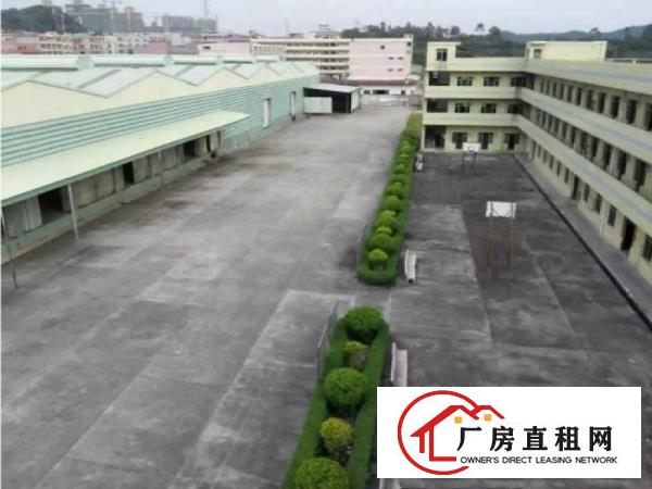  大岭山镇新出单一层独院总面积25000平方滴水10米