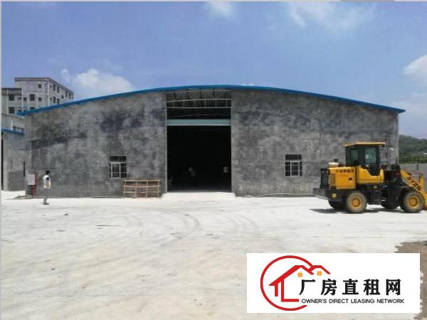 原房东金桔新出独院砖墙铁皮厂房530平厂房出租无公摊杂费