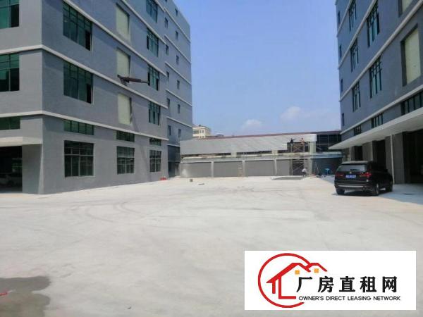  大岭山全新厂房招租工业用地可办环评大小面积可分租高6.8米