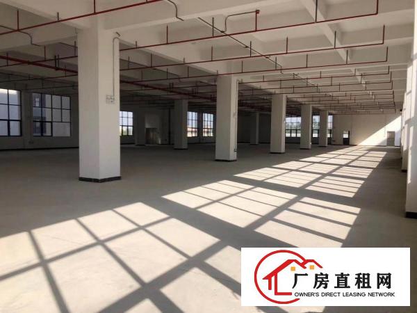  大岭山全新厂房招租工业用地可办环评大小面积可分租高6.8米