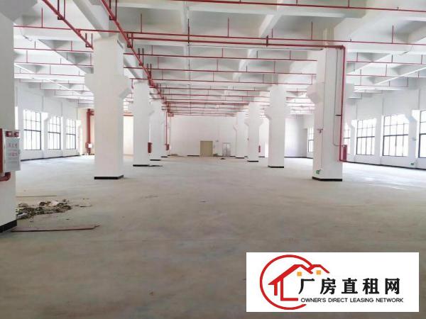  大岭山全新厂房招租工业用地可办环评大小面积可分租高6.8米