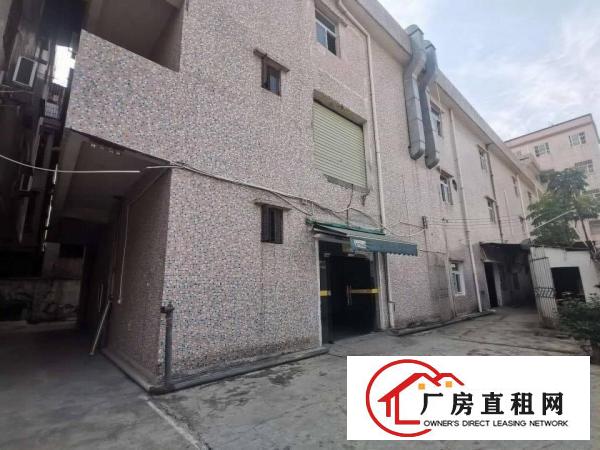  大岭山原房东独门独院标准厂房2300平出租现成展厅及办公室