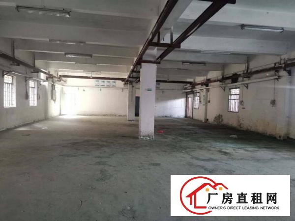  大岭山原房东独门独院标准厂房2300平出租现成展厅及办公室