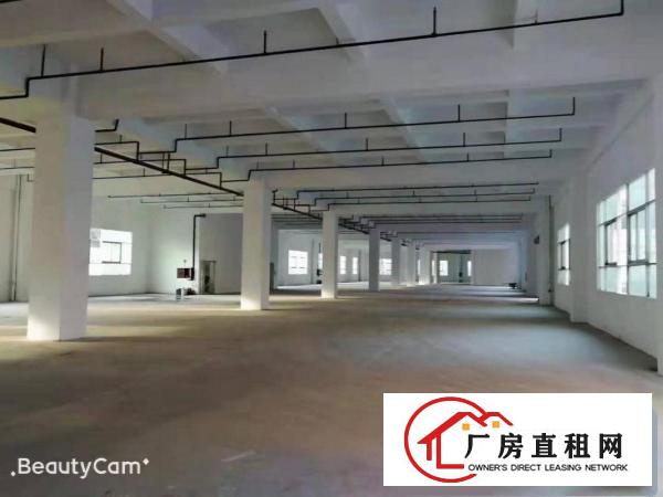  独门独院标准厂房，院内空地大，107国道边，高速路口旁