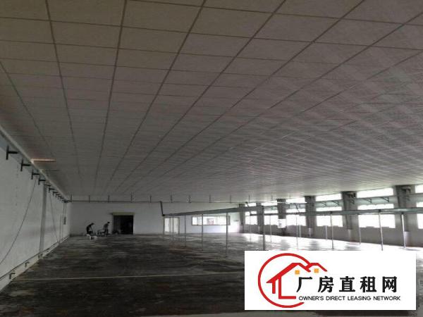  独门独院标准厂房，院内空地大，107国道边，高速路口旁