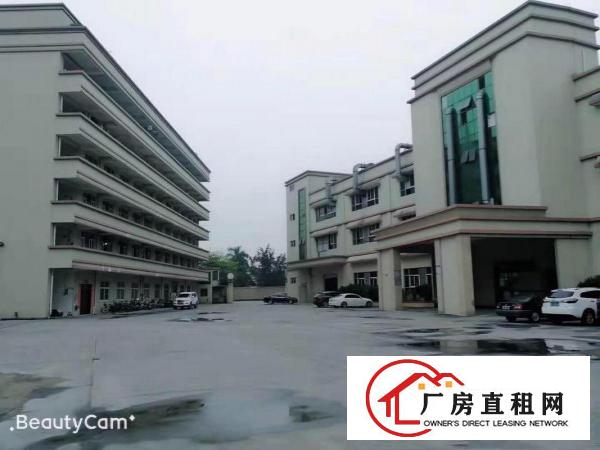  独门独院标准厂房，院内空地大，107国道边，高速路口旁