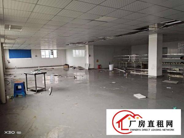  大岭山厚大路工业园楼上1700平厂房招租
