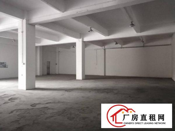  大岭山金桔新出工业园区一楼650平方厂房招租