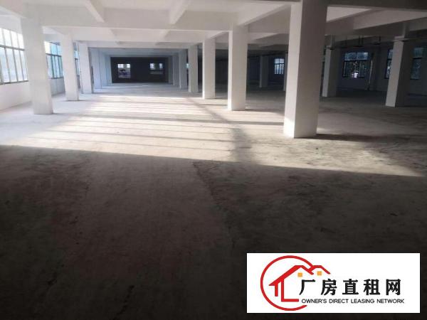  大岭山金桔新出工业园区一楼650平方厂房招租