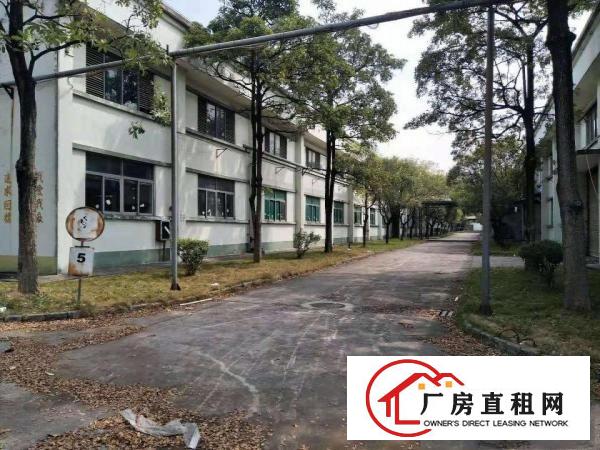  大沙新出1000平独栋独院带环评带装修独院厂房出租