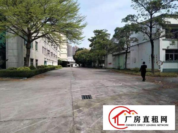  大沙新出1000平独栋独院带环评带装修独院厂房出租