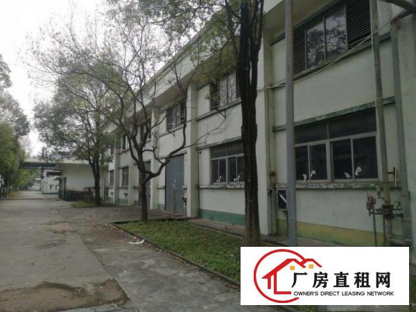  大沙新出1000平独栋独院带环评带装修独院厂房出租