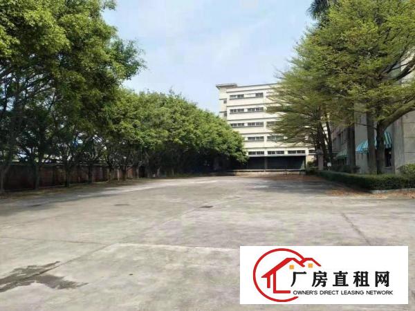  大沙新出1000平独栋独院带环评带装修独院厂房出租