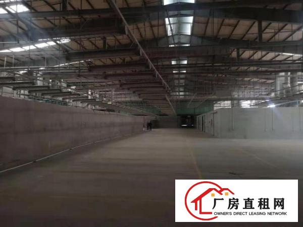  大沙新出1000平独栋独院带环评带装修独院厂房出租