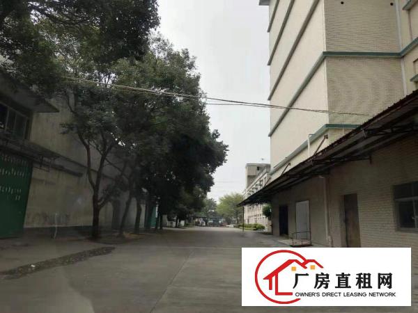  大沙新出1000平独栋独院带环评带装修独院厂房出租