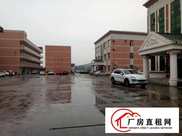  大岭山新出标准厂房3楼1800平豪华装修无转让费价格美丽