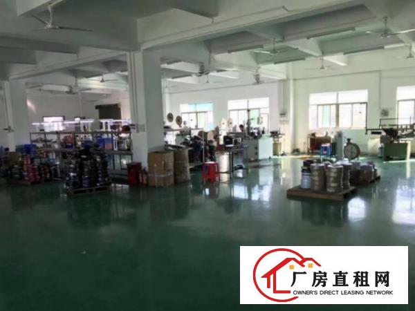  租10块大岭山镇新塘工业园出租楼上1250平厂房带精装修