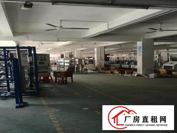  大岭山原房东厂房招租地段非常好