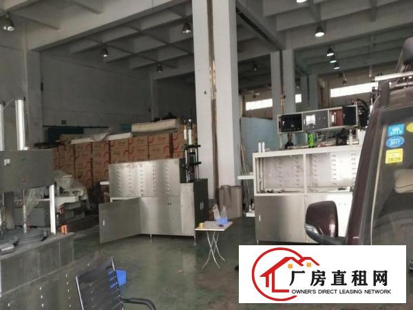  大岭山鸡翅岭原房东6000平无尘车间可做污染大空地独院厂房出
