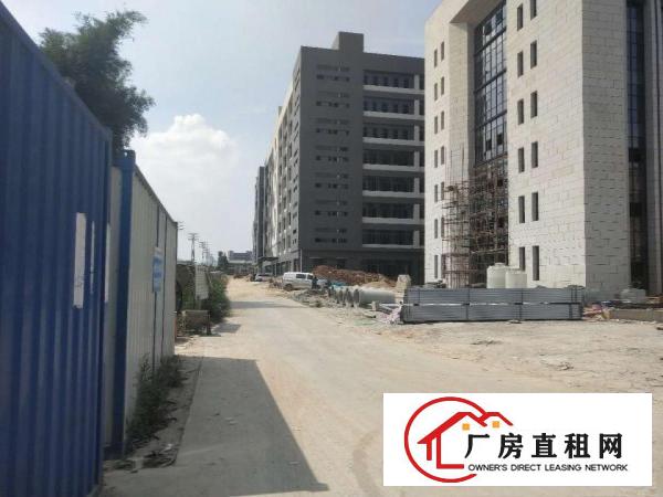  大岭山新出工业园，面积15万平方，有国有证，可办环评