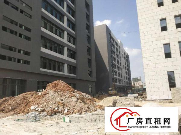  大岭山新出工业园，面积15万平方，有国有证，可办环评