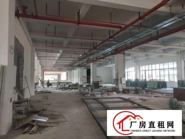  大岭山新出工业园，面积15万平方，有国有证，可办环评