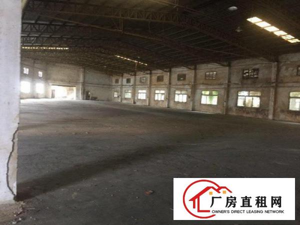  大岭山107国道边新出独门独院3000平钢构厂房原房东