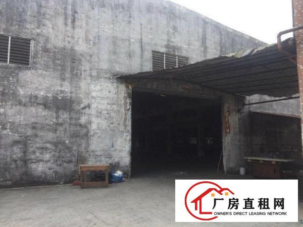  大岭山107国道边新出独门独院3000平钢构厂房原房东