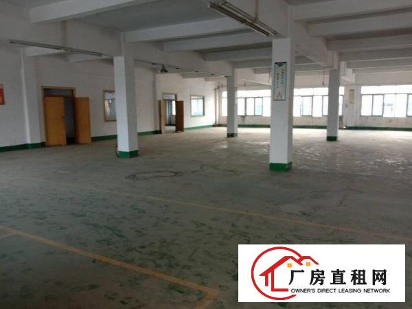  杨屋杨朗路出租边，有地平漆有现成的水电厂房