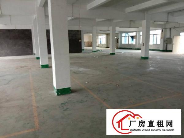  杨屋杨朗路出租边，有地平漆有现成的水电厂房