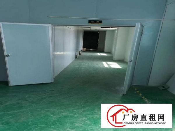  大岭山新出原房东800平方厂房招租，精装修地坪漆带办公室！！