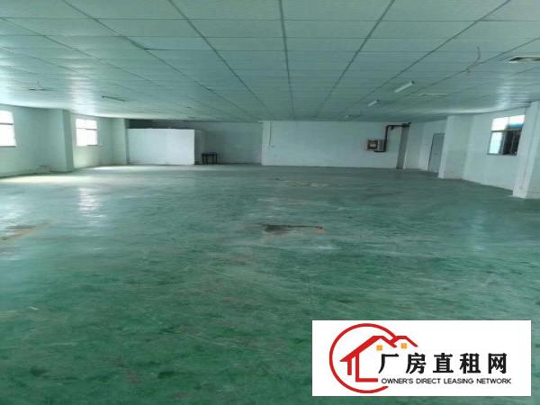  大岭山新出原房东800平方厂房招租，精装修地坪漆带办公室！！