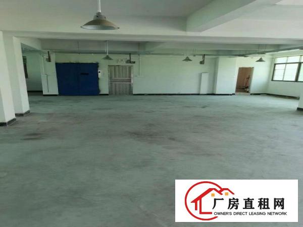  大岭山新出原房东800平方厂房招租，精装修地坪漆带办公室！！
