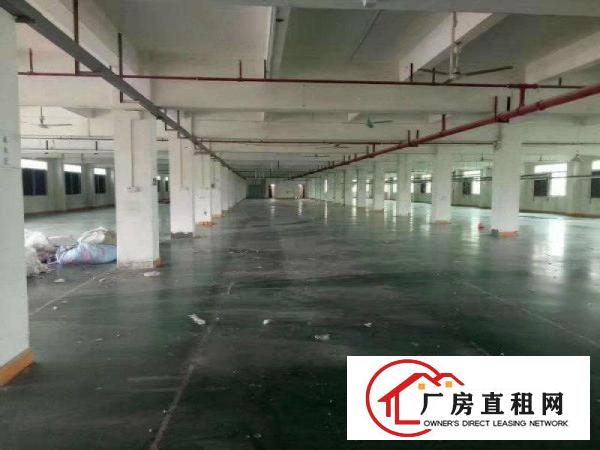  大岭山新出32000平高端大气花园式独门独院厂房