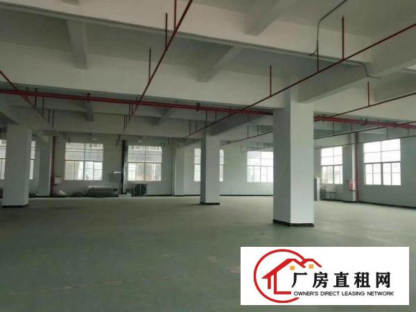  大岭山一个欧式厂房出租，带环评带装修可分租