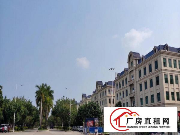  大岭山一个欧式厂房出租，带环评带装修可分租