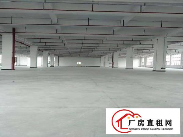 大岭山一个欧式厂房出租，带环评带装修可分租