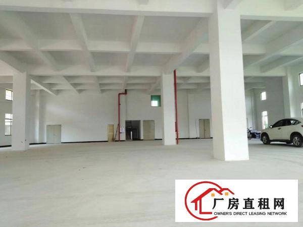  大岭山一个欧式厂房出租，带环评带装修可分租