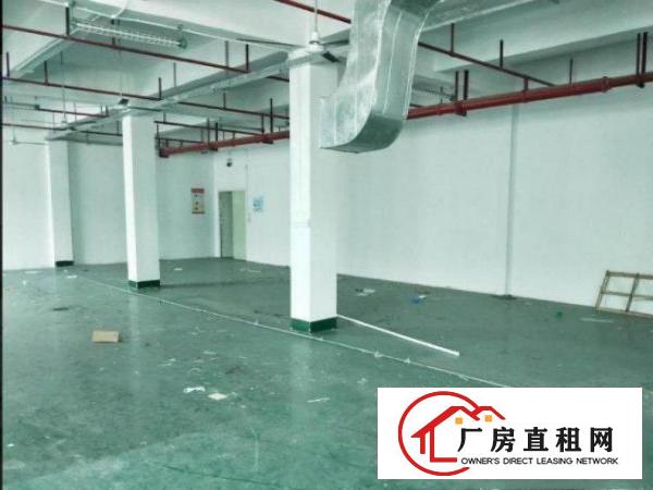  杨屋工业园新空出标准2楼1000平厂房出租带豪华装修