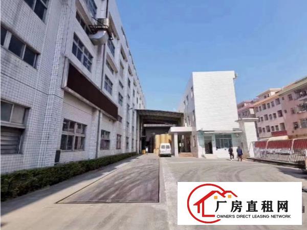  大岭山新出标准厂房25100平方米带牛角和标准卸货平台