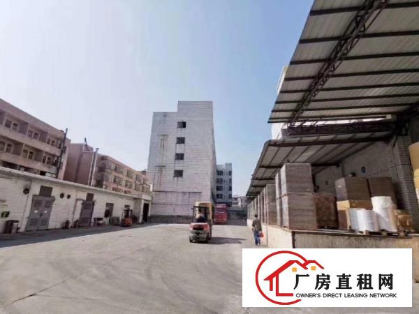  大岭山新出标准厂房25100平方米带牛角和标准卸货平台