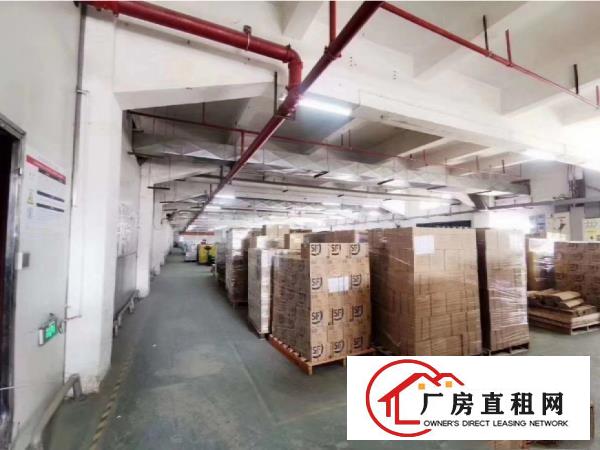  大岭山新出标准厂房25100平方米带牛角和标准卸货平台